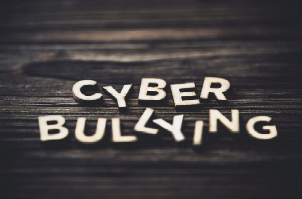 The Online Armageddon: Cyberbullying on Rise